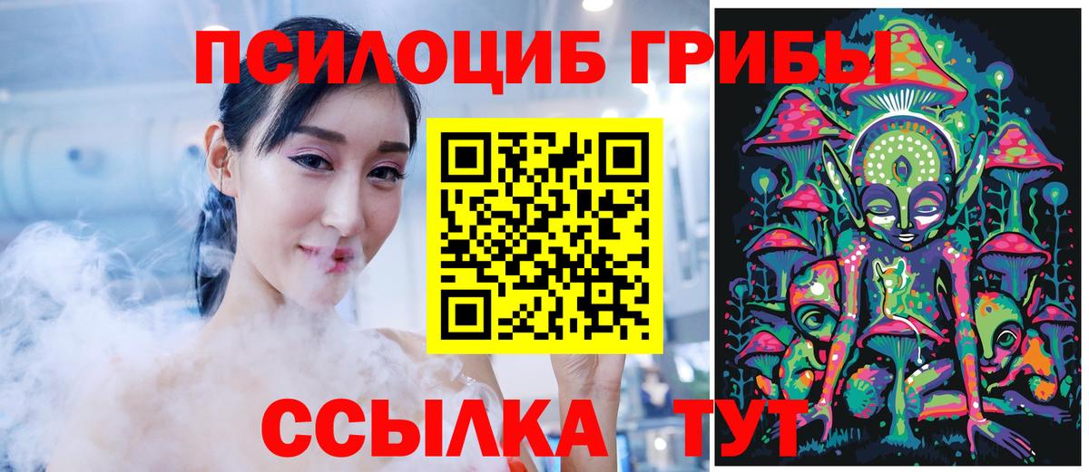 Дюртюли  магазин    Вход с VPN  Галлюциногенные грибы Cubensis 